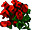 ❖新手教玩❖